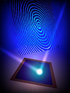 Livescan Fingerprinting